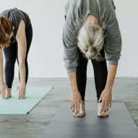 outil intégration motrice primordiale du retournement