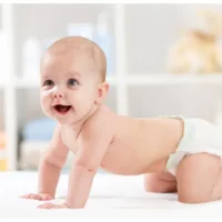 bébé à 4 pattes intégration motrice primordiale